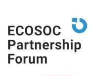 ECOSOC logo