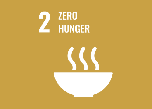 Über den Einfluss von Multi-Akteurs-Partnerschaften für die weltweite Bekämpfung von Hunger und das Erreichen von SDG 2.