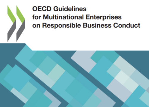 OECD Guidelines event