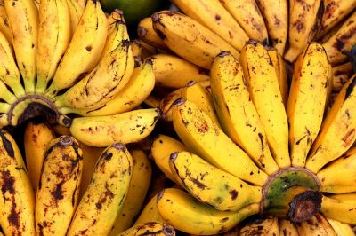 Bananenbündnis