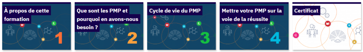 Formation interactive en ligne sur les partenariats multipartites (PMP)