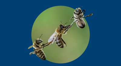 p2023 news thumbnail