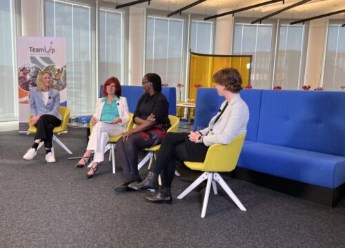 P2030 Online Paneldiskussion