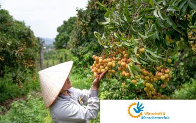 p2023 news thumbnail