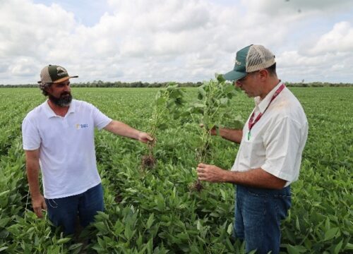 051A5089_GIZ Brazil_Soy farmer and consultant of the University of Maranhao present sustainable soybean farming practices